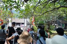 Full Day Hoa Lu/Tam Coc/ Mua Cave Tour by Limousine Bus