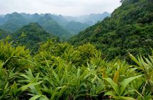 Half Day Trekking Cat Ba National Park