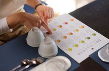 Real Tea Experience in Takayama with Expert Guide