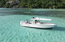 Baie Ternay - Anse Major - St Anne Marine Park (Private Boat)