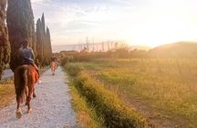 Horseback riding at sunset 1 hour at the Certosa di Pisa