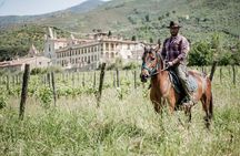 1 hour horseback ride in Valgraziosa Pisa