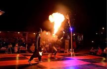 Abu Dhabi Desert Safari BBQ Dinner Live Shows Pick & Drop More