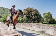 1 hour horseback ride in Valgraziosa Pisa