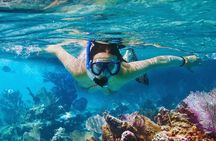  Amalfi Coast Snorkeling and Limoncello Tasting: 4h Boat Tour