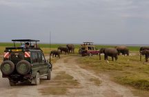 Overnight Private Tour to Amboseli National Park with Pickup
