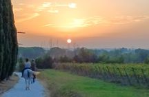 Horseback riding at sunset 1 hour at the Certosa di Pisa