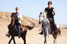 Hurghada Arabian Desert and Sea Horseback Adventure