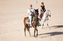Hurghada Arabian Desert and Sea Horseback Adventure