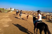 Hurghada Arabian Desert and Sea Horseback Adventure