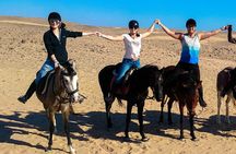 Hurghada Arabian Desert and Sea Horseback Adventure