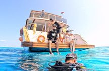 Scuba Diving Boat trip for Professional Divers from Hurghada