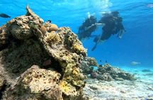 Scuba Diving Boat trip for Professional Divers from Hurghada