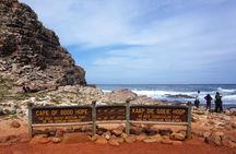 The Peninsula and Cape of Good Hope Full Day Tour in Cape Town