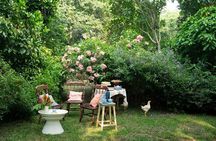 Kensington Palace Afternoon Tea with Entrance Ticket Option