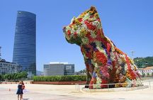 Guggenheim Bilbao Museum Private Tour