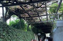 Half Day Private Tour in Positano