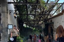 Half Day Private Tour in Positano