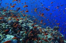 Hurghada Red Sea Novice and Experienced Diving Expedition
