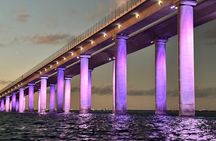 Private Sunset & Skyway Bridge Lights Tour in St. Petersburg, FL