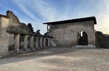 Full Day Tour to Pompeii, Vesuvius and Herculaneum