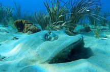 Aguadilla Tropical Snorkeling