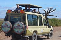 Amboseli, Tsavo West and Tsavo East 6days safari