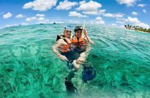 Amazing Snorkeling Experience + Real Mexican Tacos