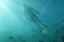 Exclusively Private Snorkel Adventures Training & Tours Ultimate