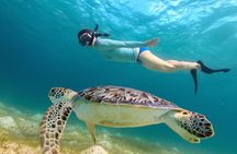 Afternoon Turtle Snorkel Sail from Westin Frenchman's Reef