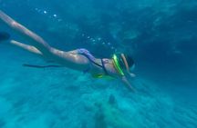 Turtle Snorkel Sail on Buck Island from Frenchman's Reef