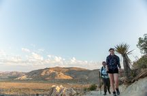 Joshua Tree Sunset & Stargazing Private Tour & Hike