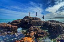 Cape of Good Hope Cape Point for groups