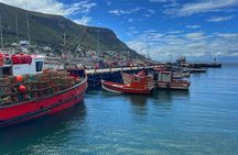 Cape of Good Hope Cape Point for groups