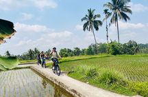 Ubud eBikes Tour to Tegallalang Rice Terrace