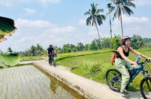 Ubud eBikes Tour to Tegallalang Rice Terrace