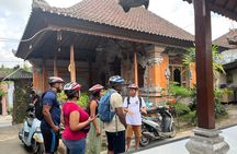 Ubud eBikes Tour to Tegallalang Rice Terrace