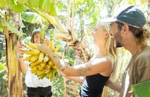 A Farm to Table Cooking Class
