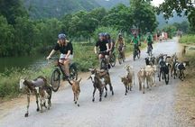 Ninh Binh 2 Days Luxury Limousine Small Group Option 3 Star