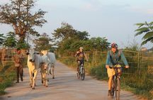 Silk Island at Twilight Cycle Encounter 