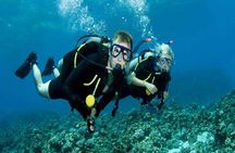 2 Dives a Comfy Boat for Certified Divers in Hurghada