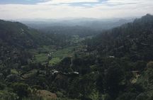 Nuwara Eliya Half Day Private Hiking and Sightseeing Tour 