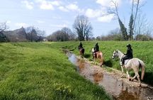 1 hour horseback ride in Valgraziosa Pisa
