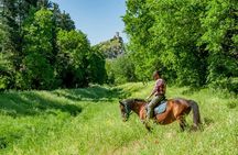 1 hour horseback ride in Valgraziosa Pisa