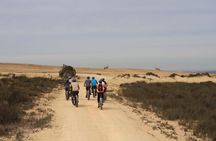 E-Bike Safari West Coast Full Day Tour in Cape Town