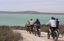 E-Bike Safari West Coast Full Day Tour in Cape Town