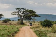 5 Days Fantastic Tanzania Lodge Safaris 