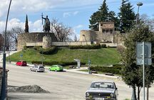 From Tbilisi: Telavi, Alaverdi, Kvetera, Sabaduri Forest 