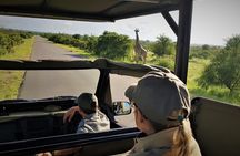 Private 4x4 Safari Tour in Kruger National Park