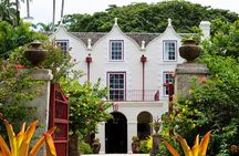 5 Hours St. Nicholas Abbey and Bajan Tour in Barbados